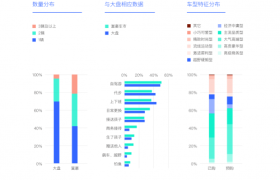 易车研究院报告：中国新富豪用户选购本土汽车品牌意愿显著增强