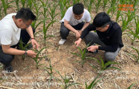 防汛抗旱系列之一|平安产险科技赋能防汛抗旱，筑牢灾害保障网